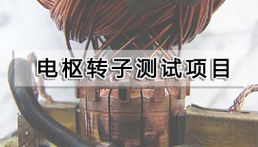 电枢转子测试项目